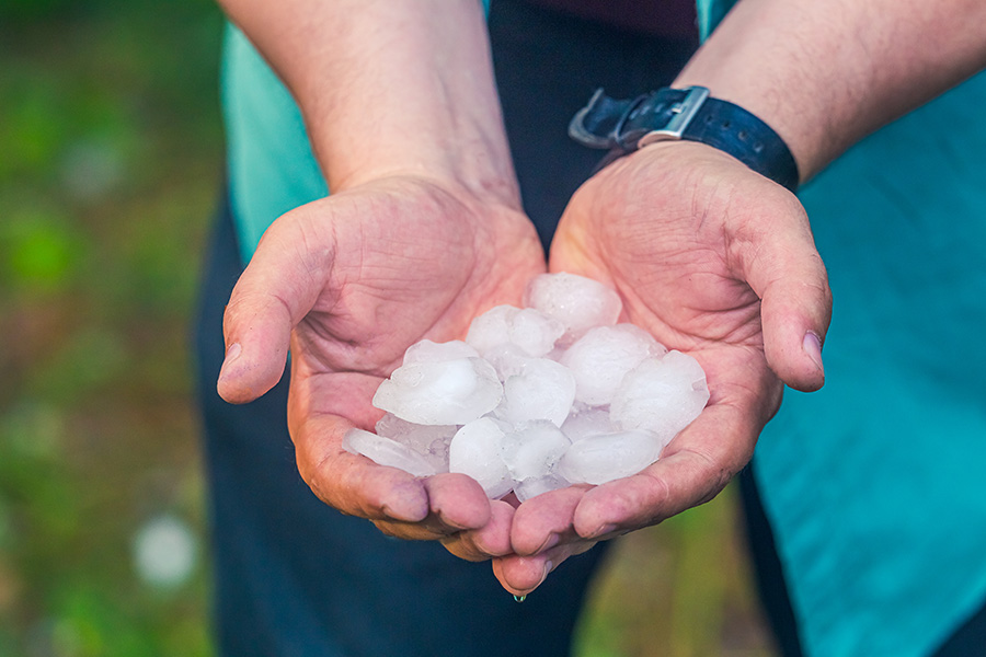 Homeowner holding hail after a storm